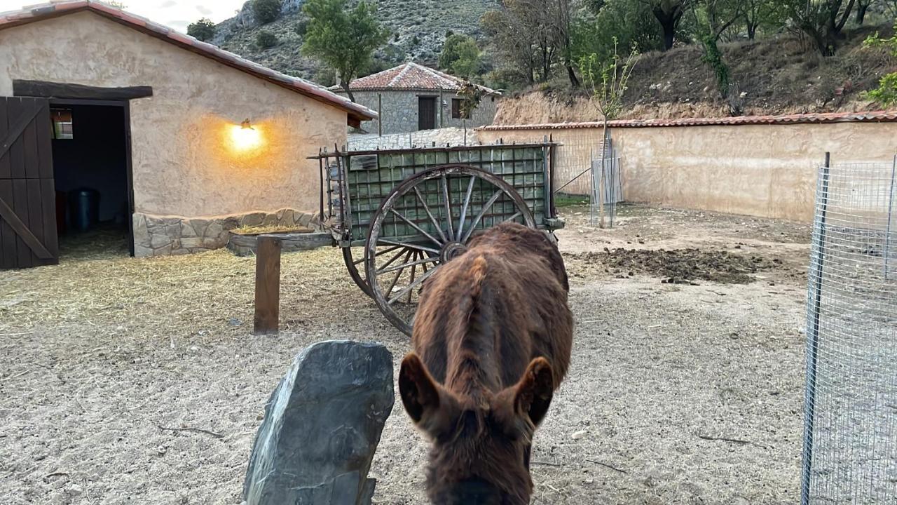 Las Villas De Fuentiduena Екстериор снимка